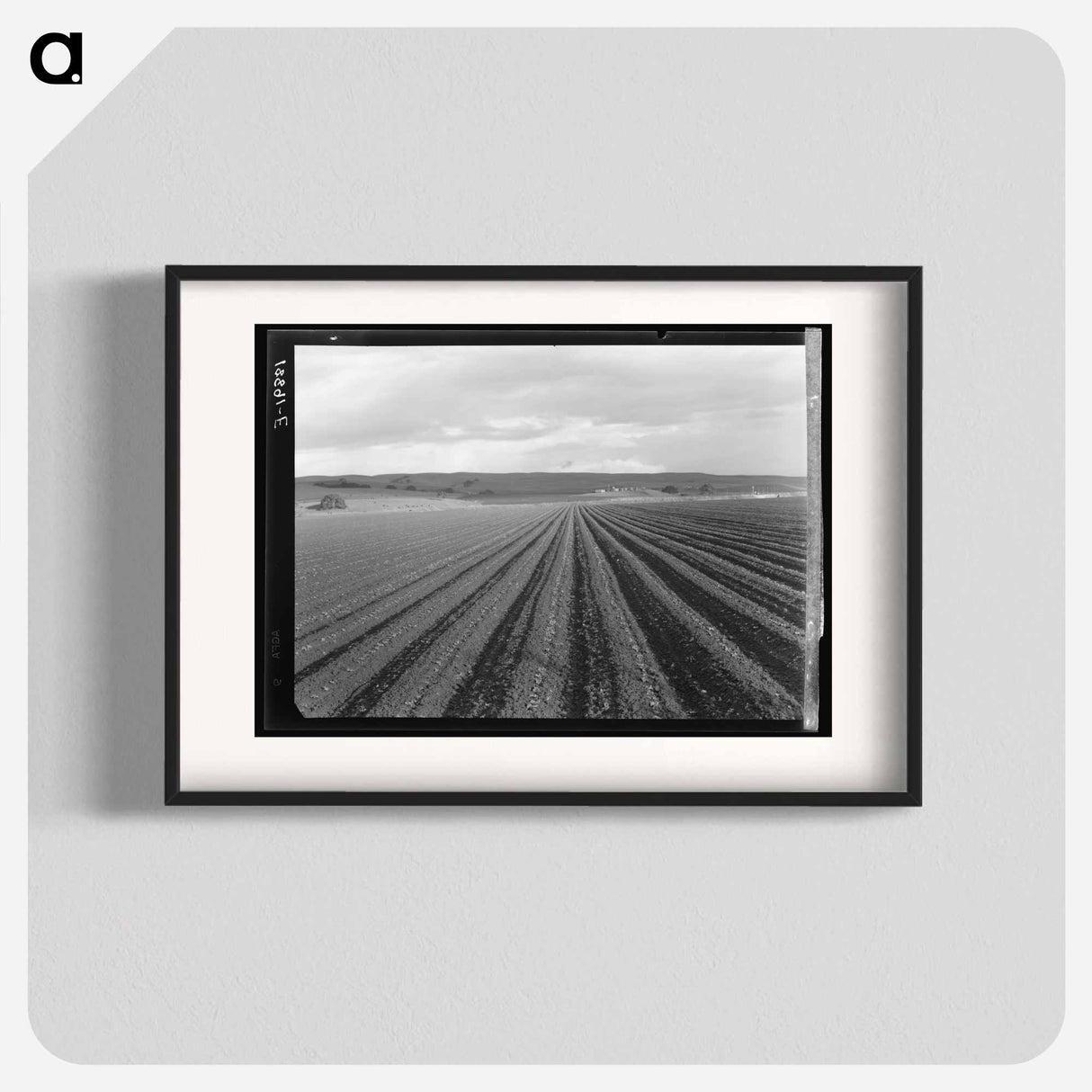 Untitled photo - Dorothea Lange Poster.
