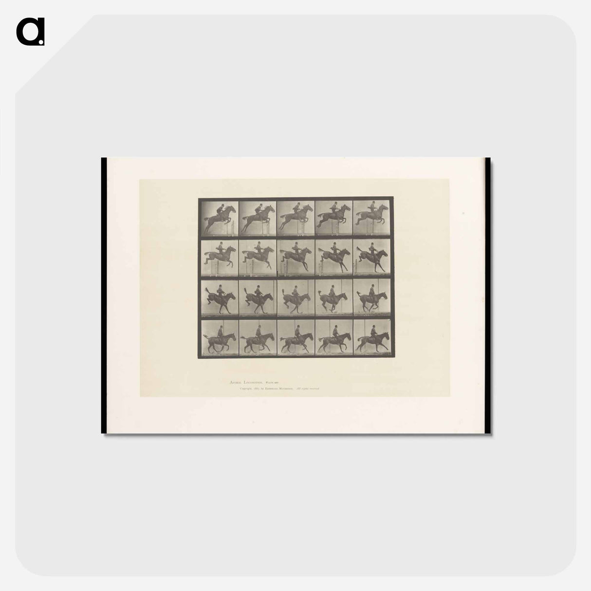 アートポストカード-Jumping the Hurdle
- エドワード マイブリッジ Postcard.