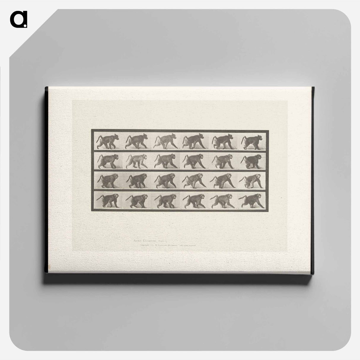 アートパネル-Baboon Walking
- エドワード マイブリッジ Canvas.