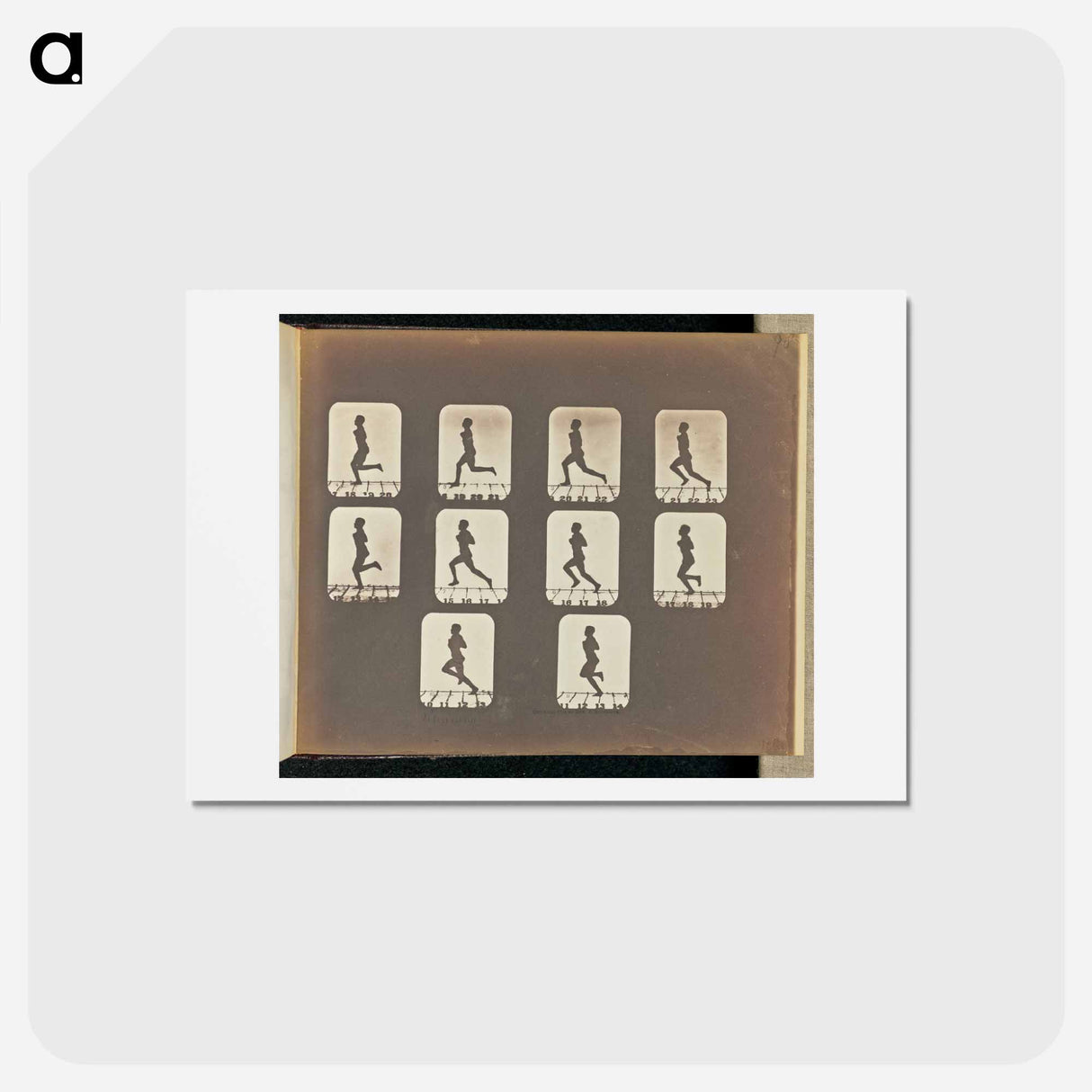 アートポストカード-Running
- エドワード マイブリッジ Postcard.