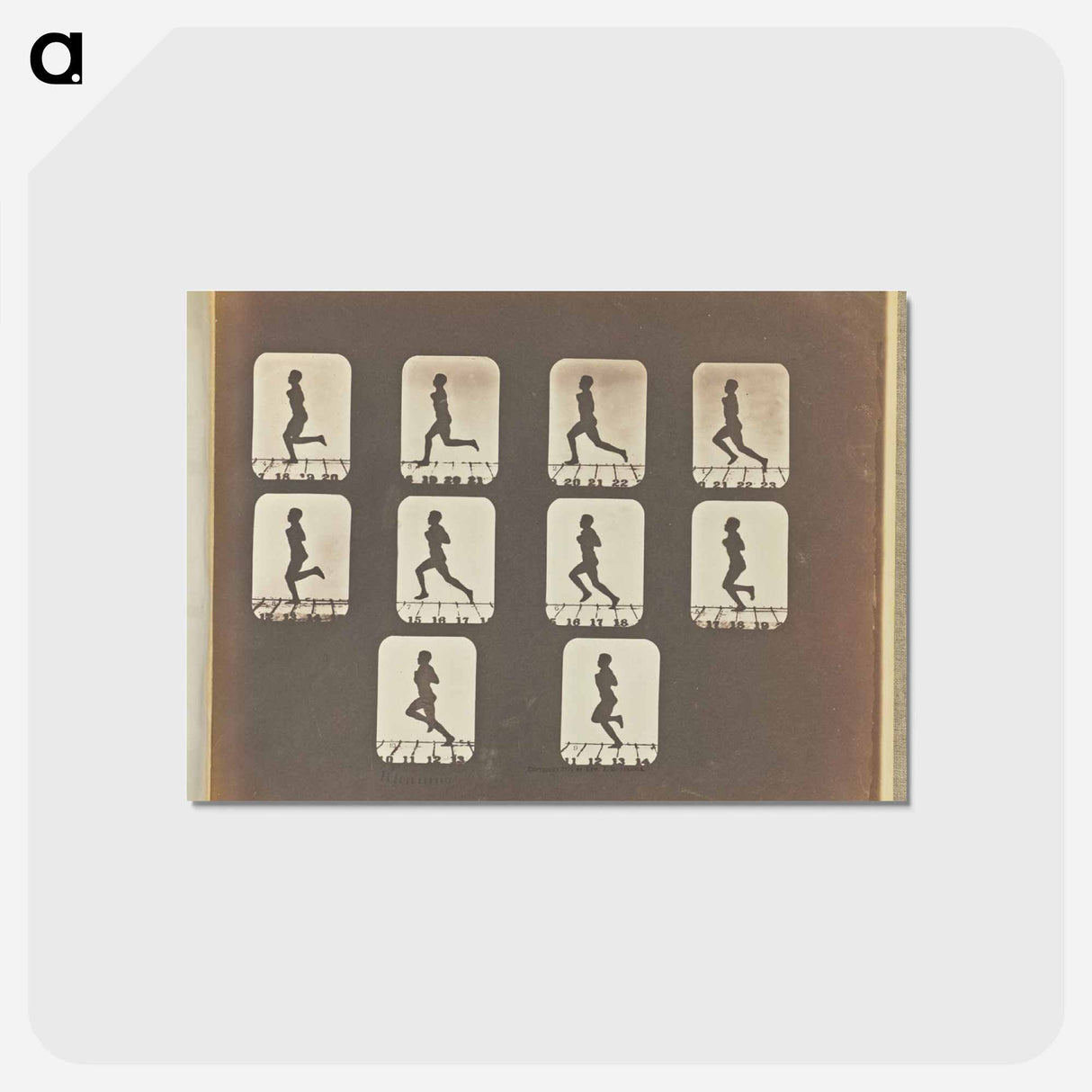 アートポストカード-Running
- エドワード マイブリッジ Postcard.