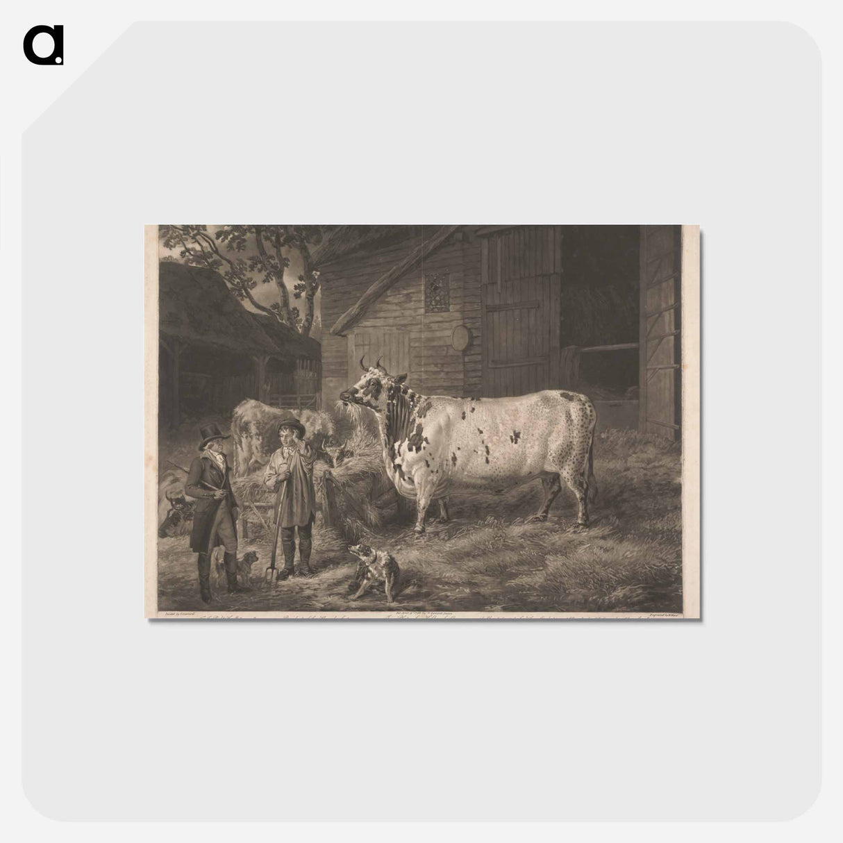 アートポストカード-Improved British Cattle: Holderness Cow
- イェール大学アートギャラリー Postcard.