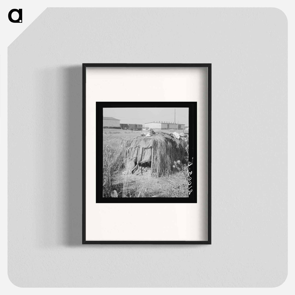 Untitled photo - Dorothea Lange Poster.