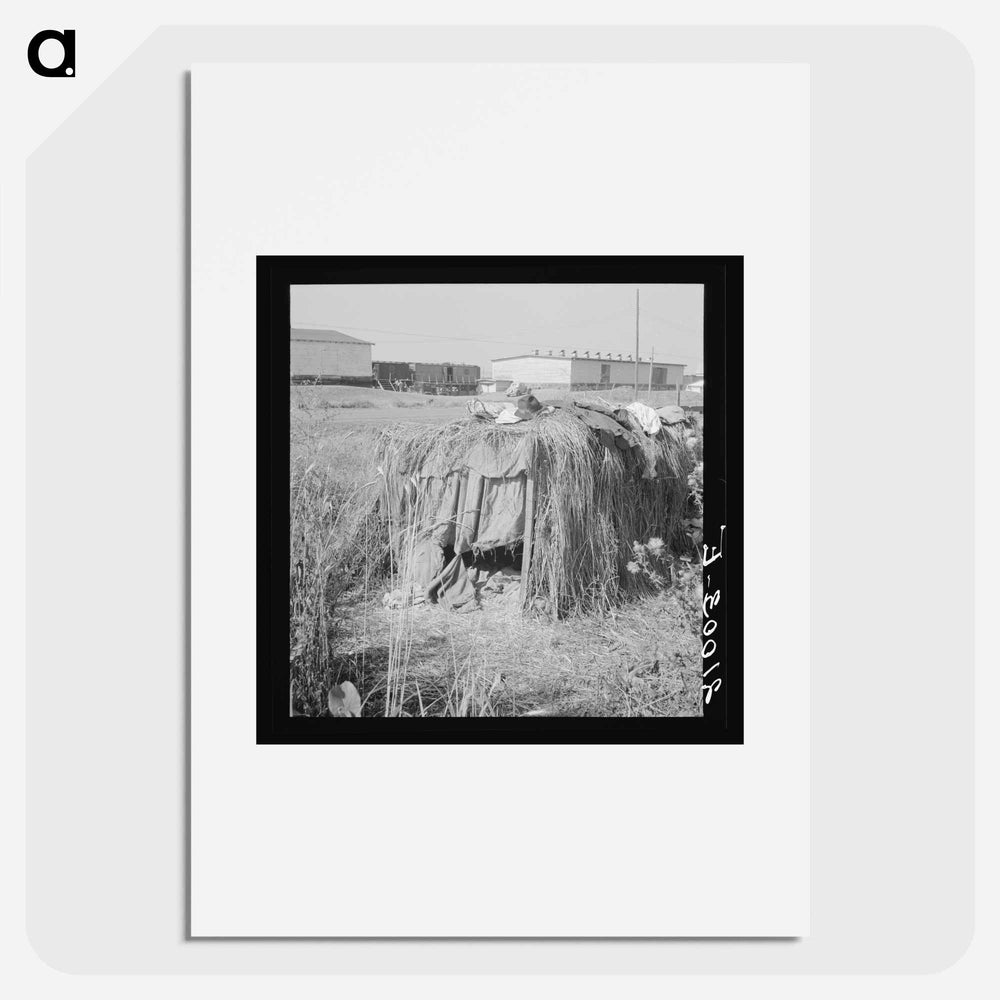 Untitled photo - Dorothea Lange Poster.