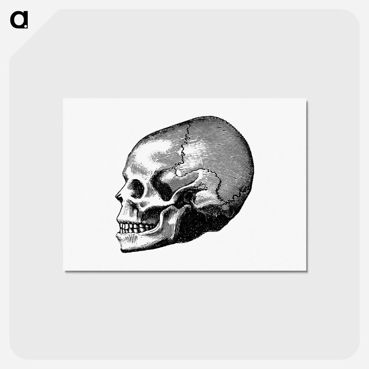アートポストカード-Victorian Skull Engraving
- 大英図書館 Postcard.