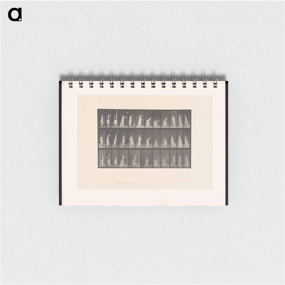 アートメモ帳-The Falling Handkerchief
- エドワード マイブリッジ Memo.