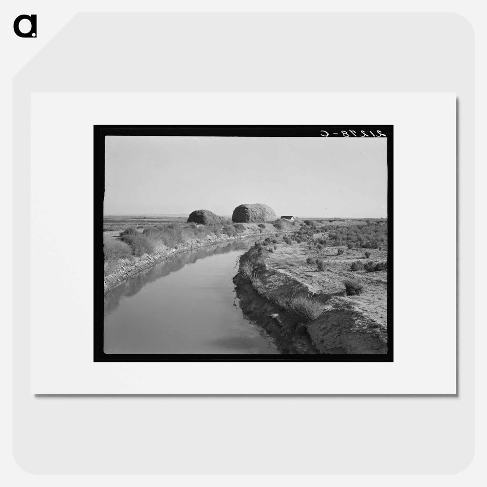Irrigation canal and the preacher's farm - Dorothea Lange Poster.