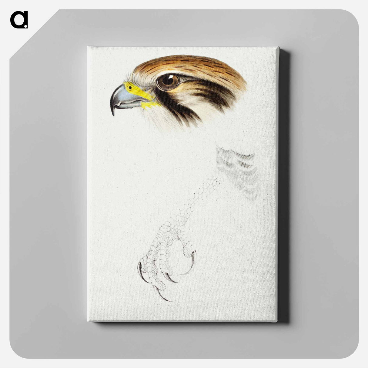 アートパネル-Brown Hawk
- ジョン グールド Canvas.