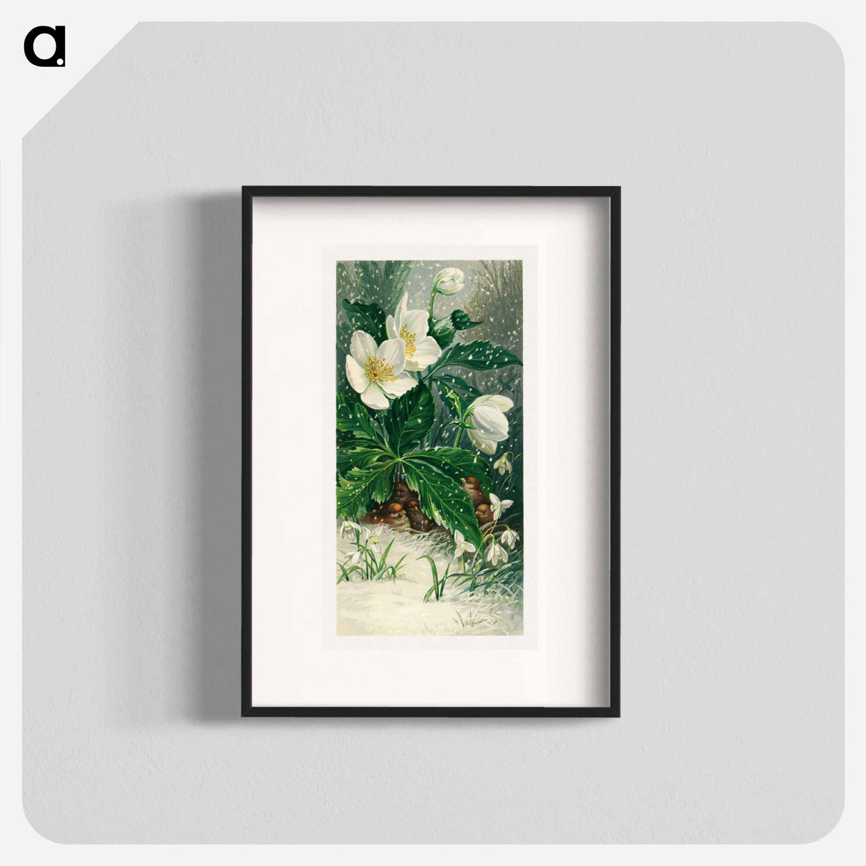 アートポスター-Birds and Winter Flowers
- ボストン公共図書館 Poster.
