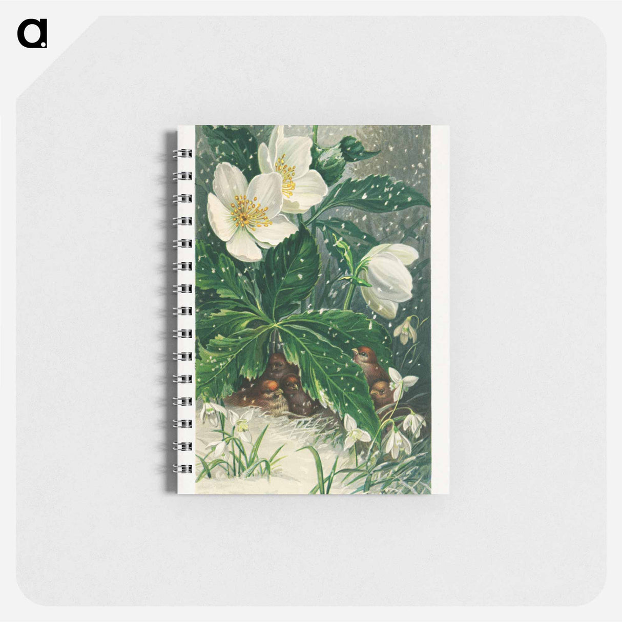 アートメモ帳-Birds and Winter Flowers
- ボストン公共図書館 Memo.