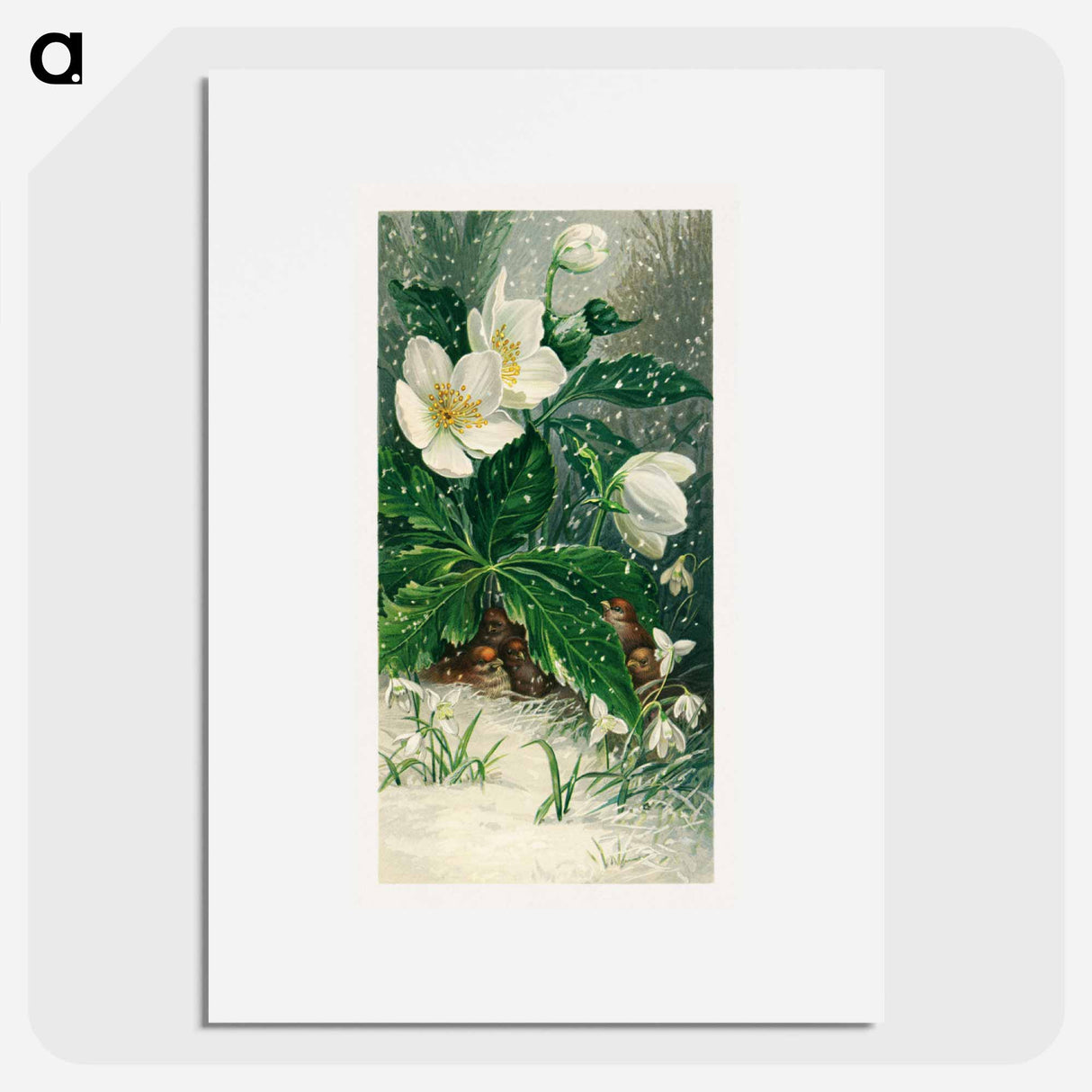 アートポスター-Birds and Winter Flowers
- ボストン公共図書館 Poster.