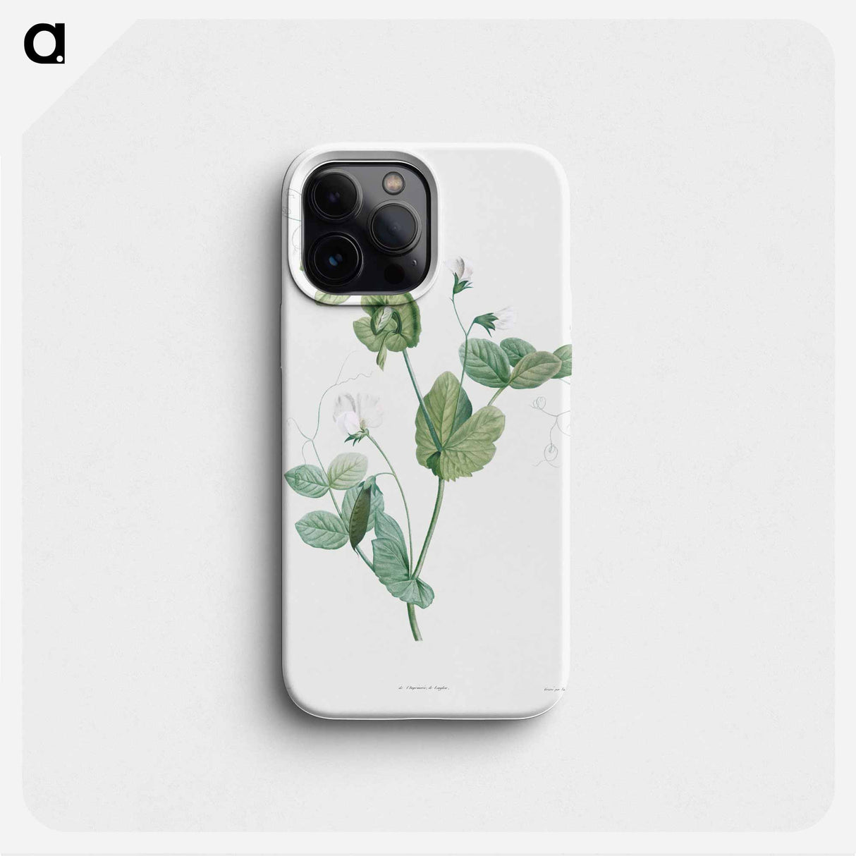 White lolliradio pea flower - Pierre Joseph Redouté Phone Case.