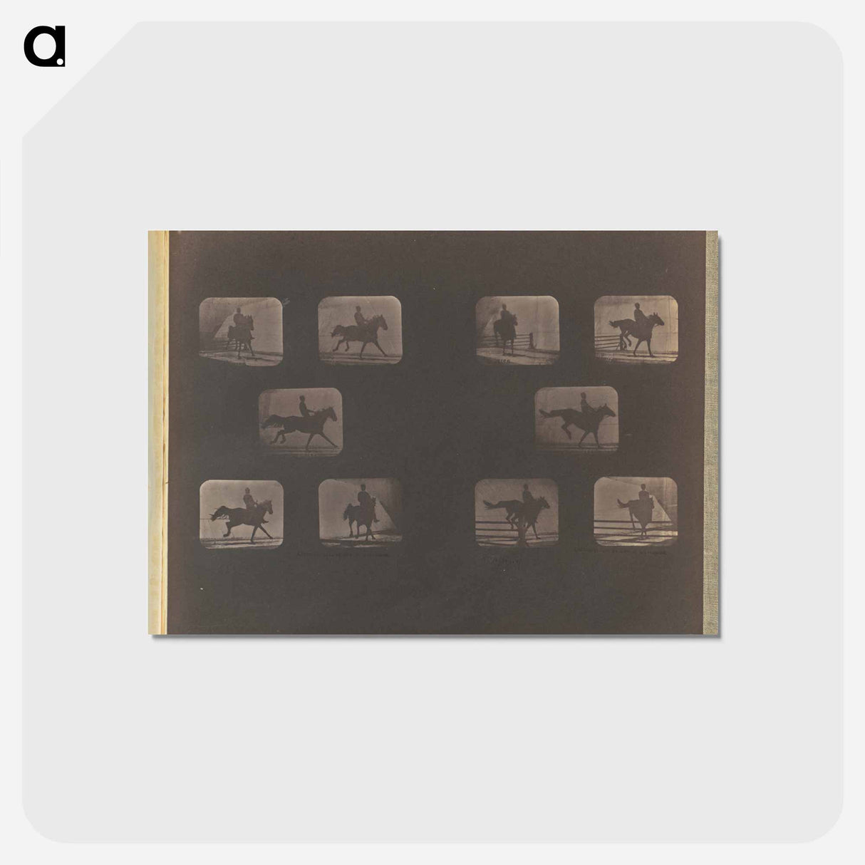 アートポストカード-Leaping
- エドワード マイブリッジ Postcard.