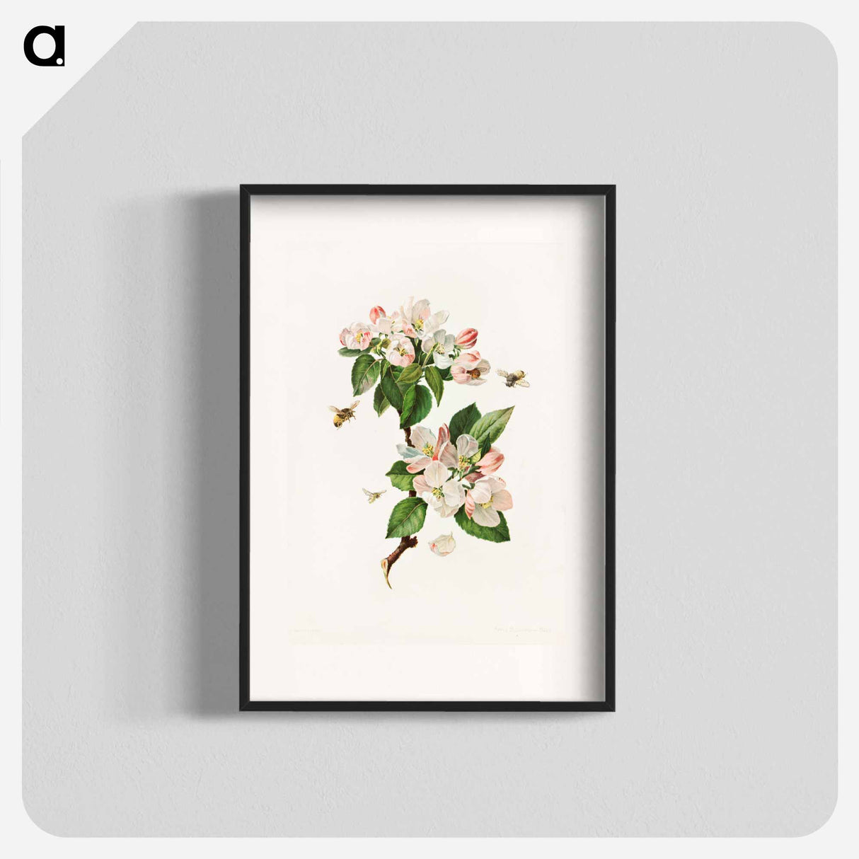 アートポスター-Apple Blossoms and Bees
- ボストン公共図書館 Poster.