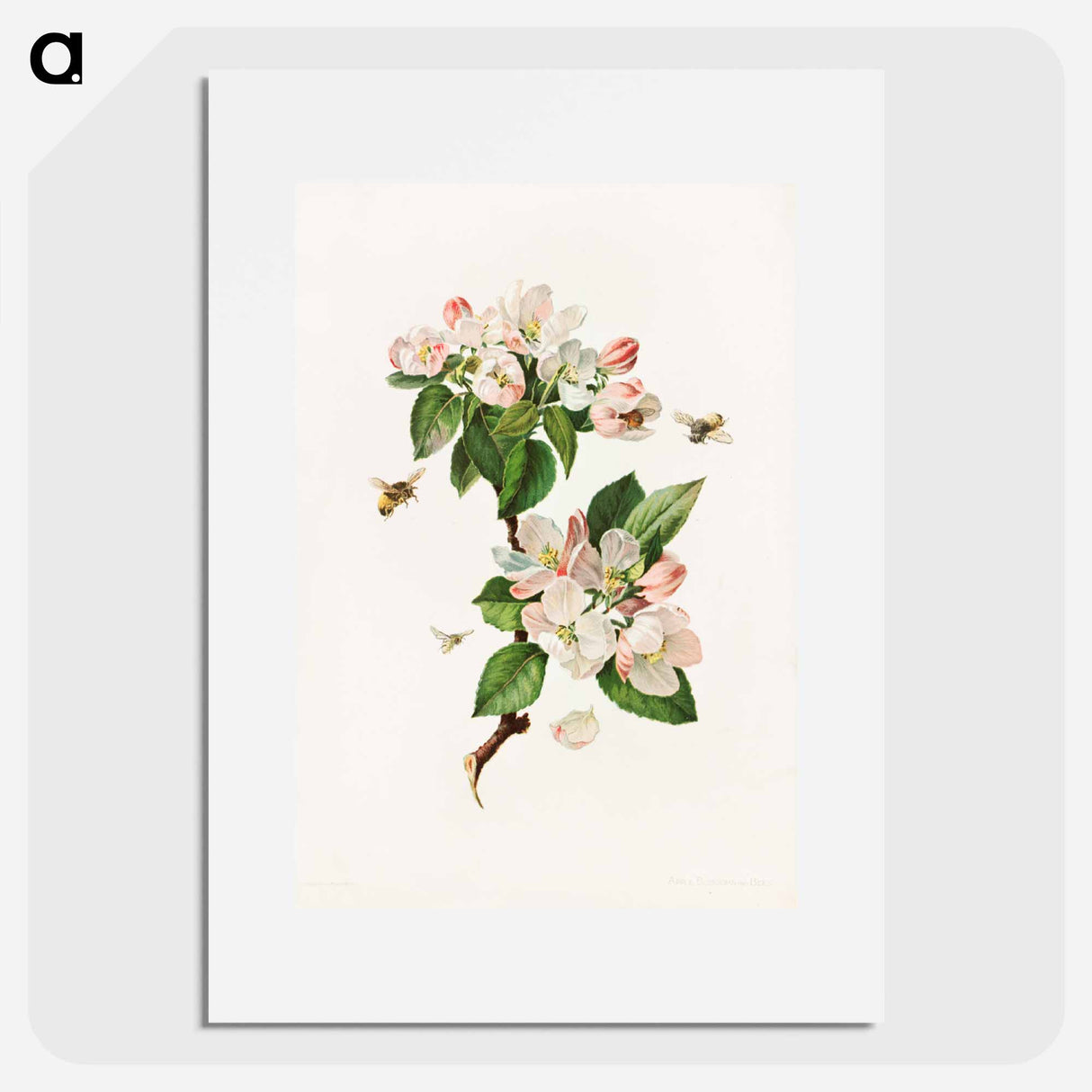 アートポスター-Apple Blossoms and Bees
- ボストン公共図書館 Poster.