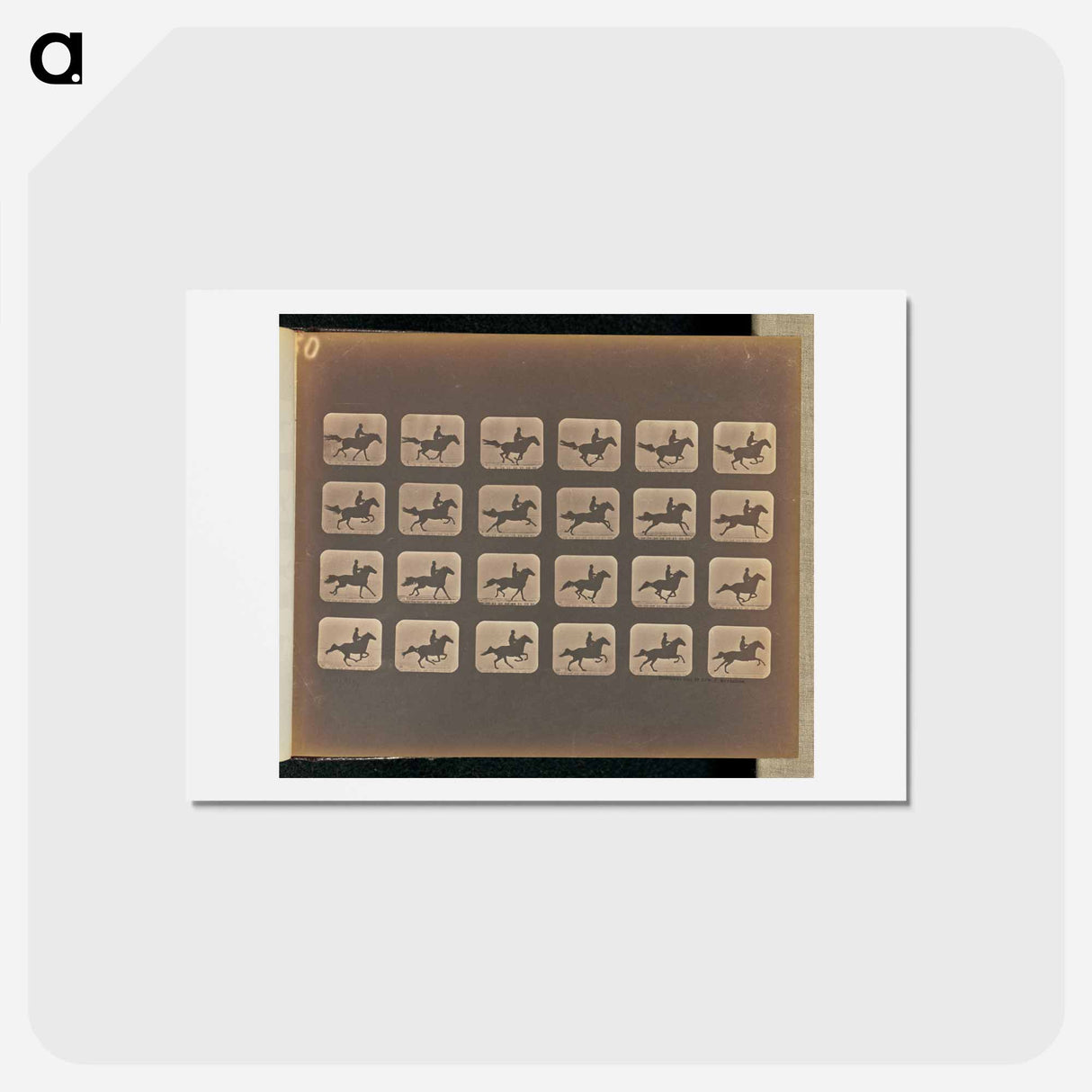 アートポストカード-Leaping
- エドワード マイブリッジ Postcard.