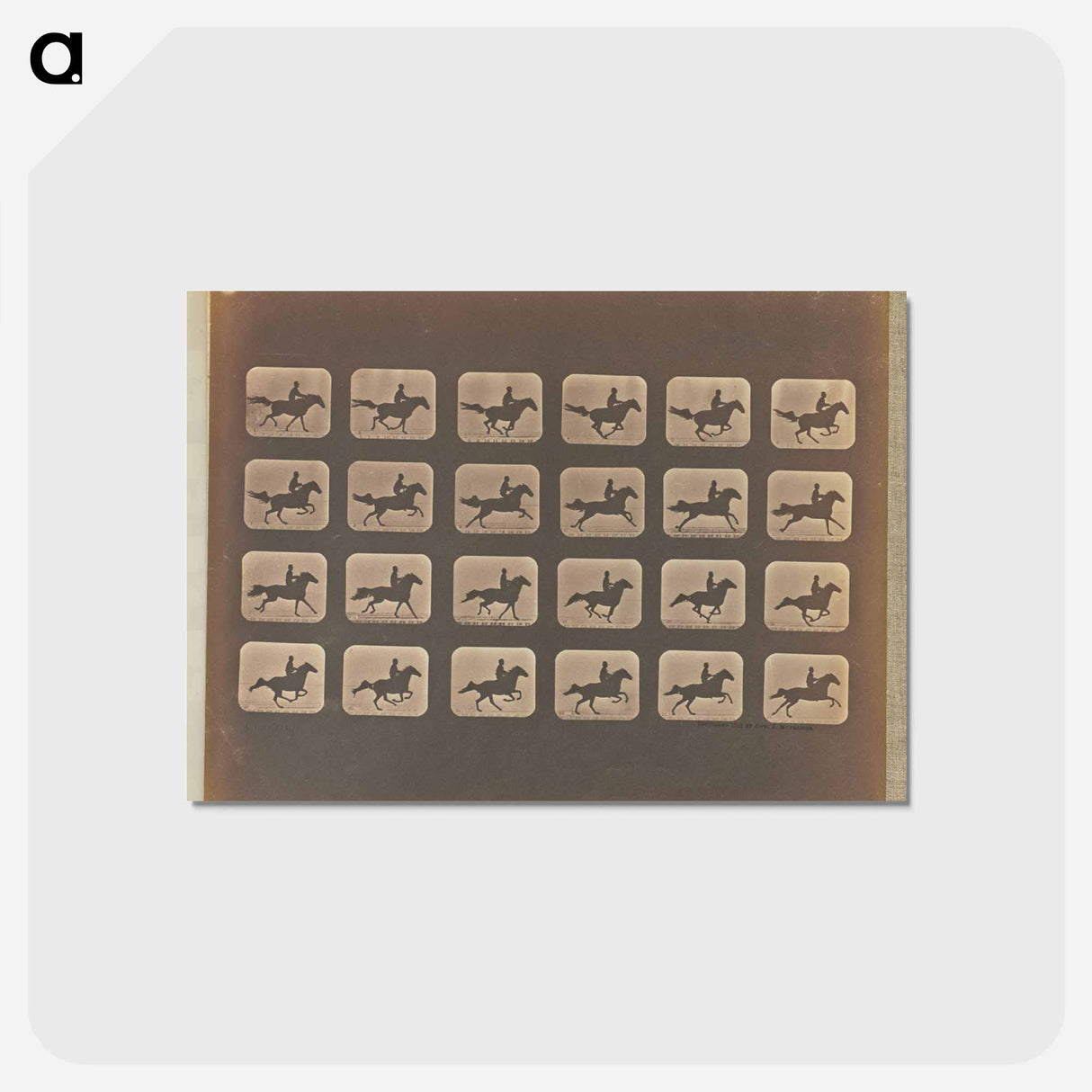 アートポストカード-Leaping
- エドワード マイブリッジ Postcard.