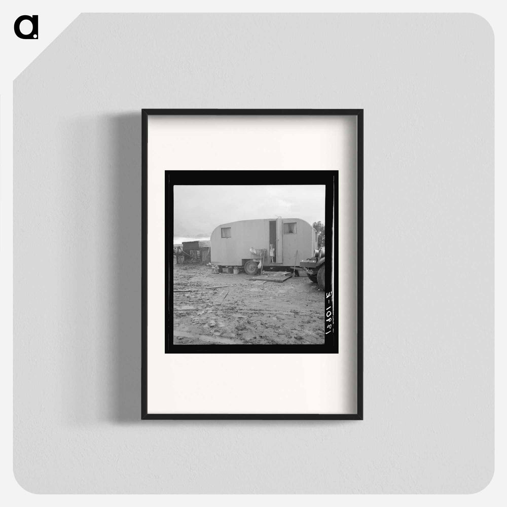 Untitled photo - Dorothea Lange Poster.