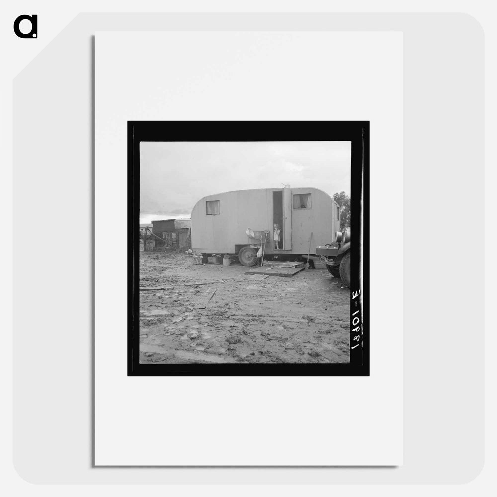 Untitled photo - Dorothea Lange Poster.