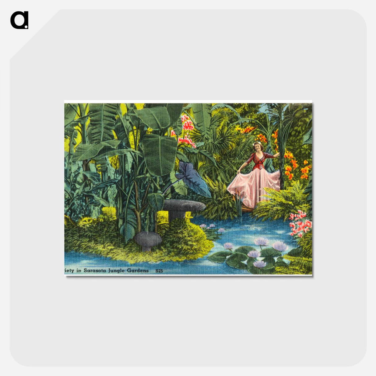 アートポストカード-Variety in Sarasota Jungle Gardens
- ボストン公共図書館 Postcard.