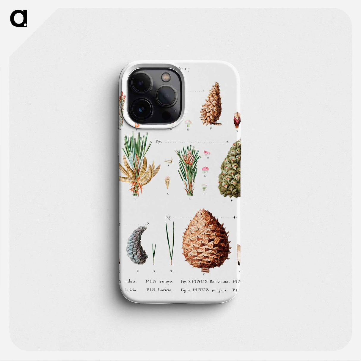 Traits of Arbres and Arbustes that are cult in France on plain earth - Pierre-Joseph Redouté Phone Case.