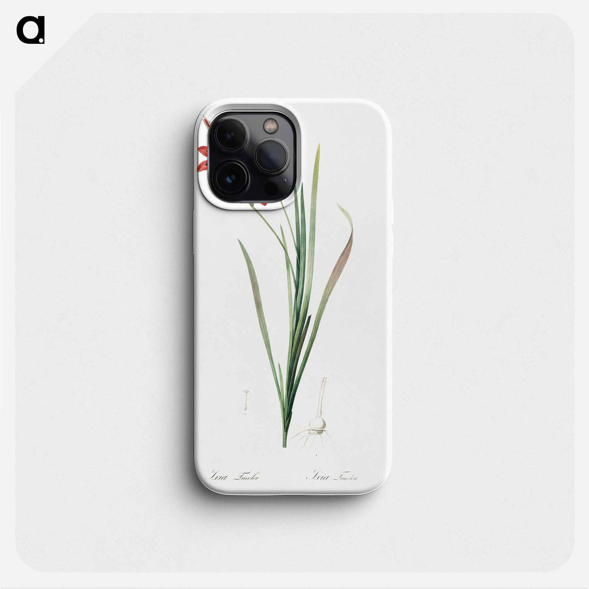 Ixia tricolor - Pierre Joseph Redouté Phone Case.