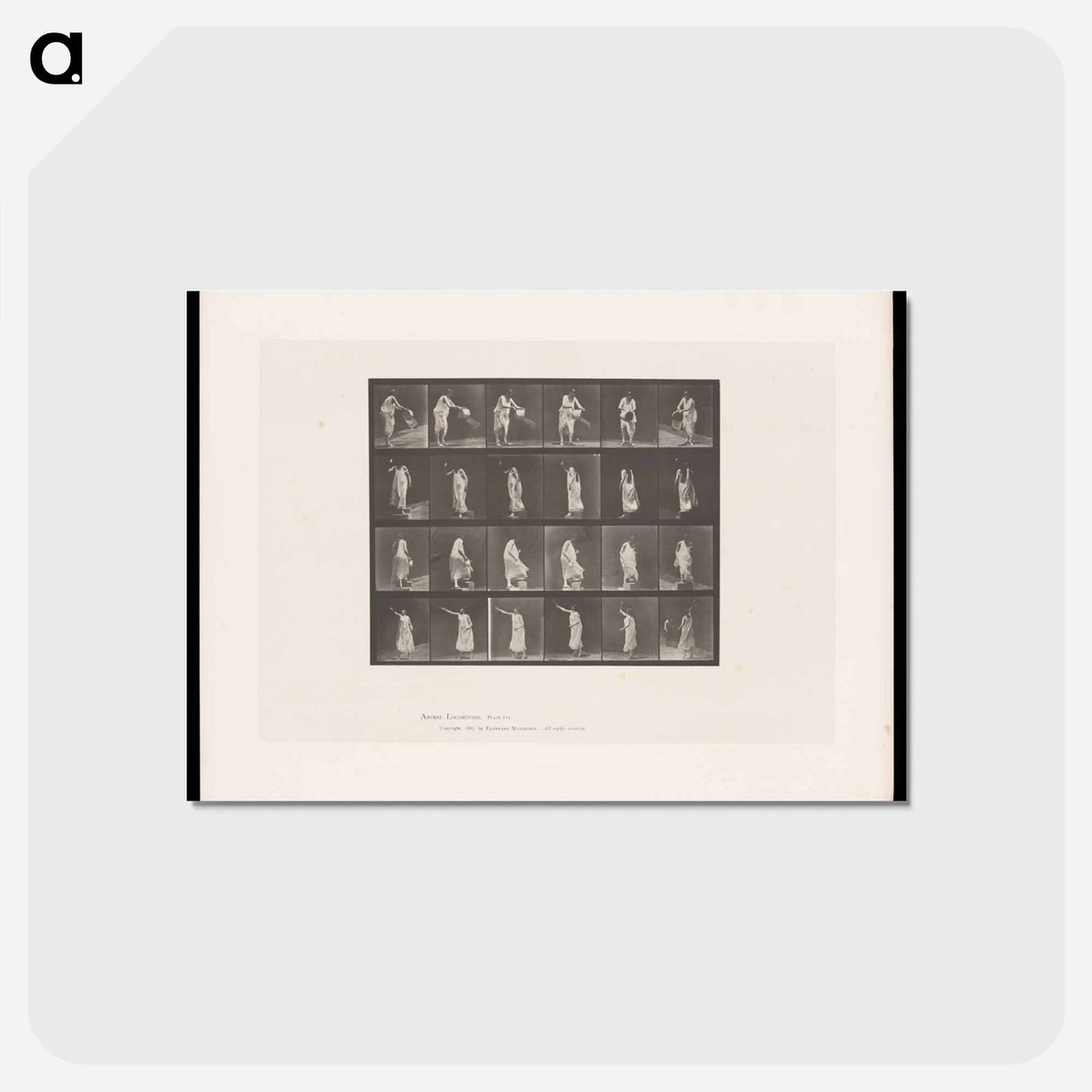 アートポストカード-Woman in Motion
- エドワード マイブリッジ Postcard.