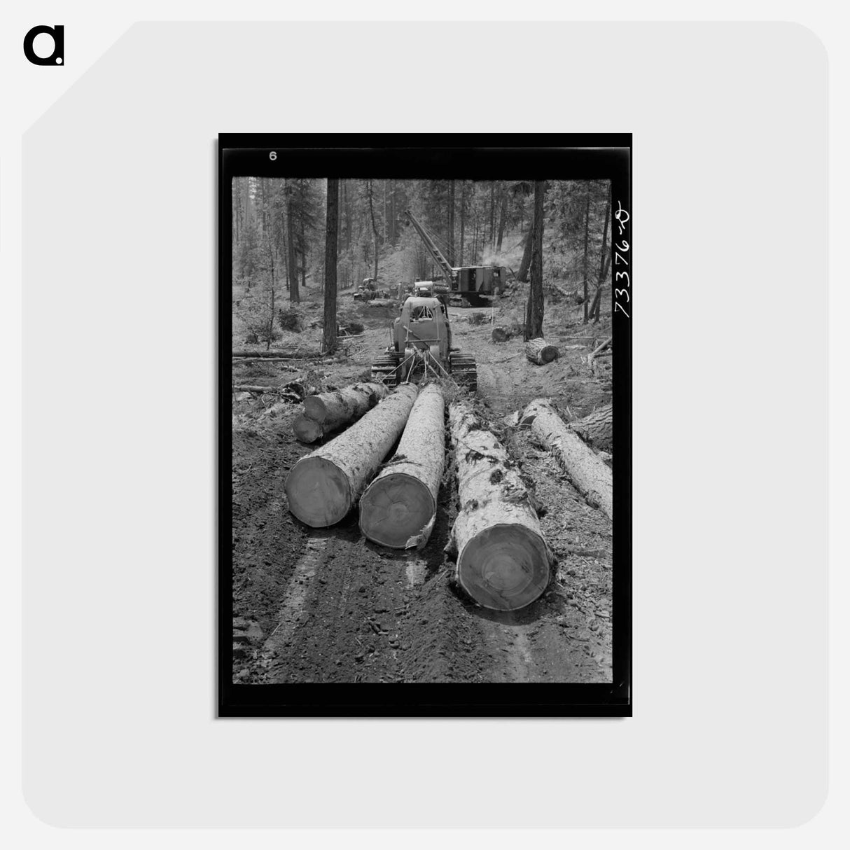 アートポストカード-Diesel Caterpillar in Malheur National Forest
- ラッセル リー Postcard.