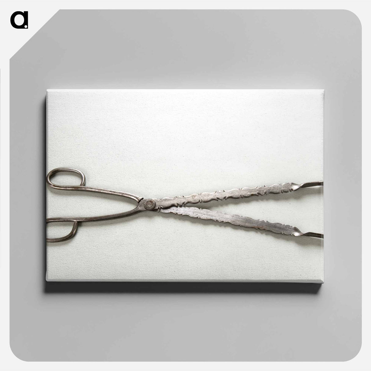 アートパネル-Tongs
- バーンズ・コレクション Canvas.
