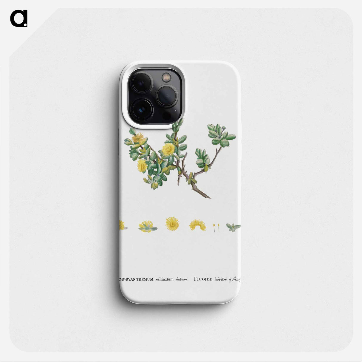 Mesembryanthemum Echinatum (Pickle Plant) - Pierre Joseph Redouté Phone Case.
