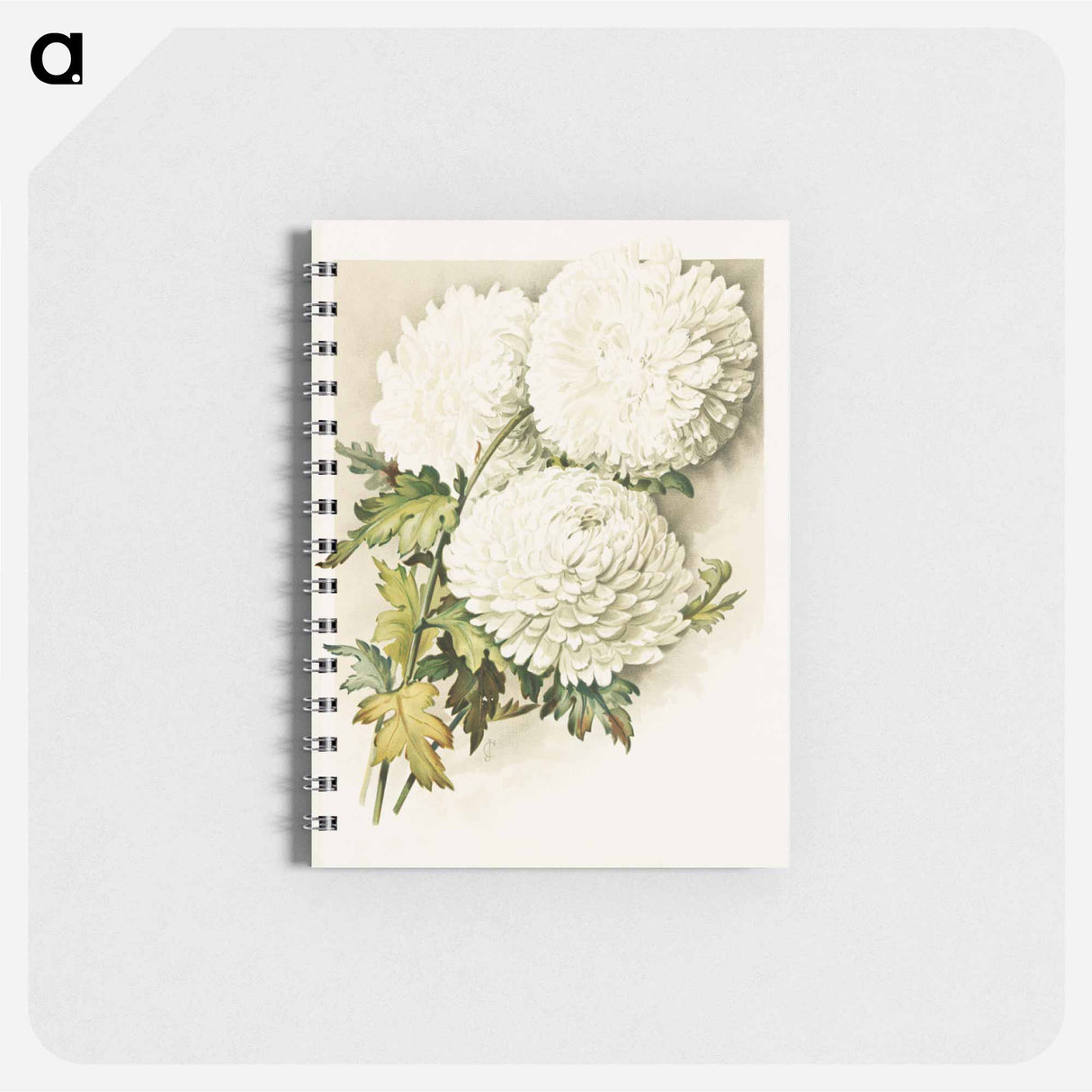 アートメモ帳-Chrysanthemums for Christmas Eve
- ボストン公共図書館 Memo.