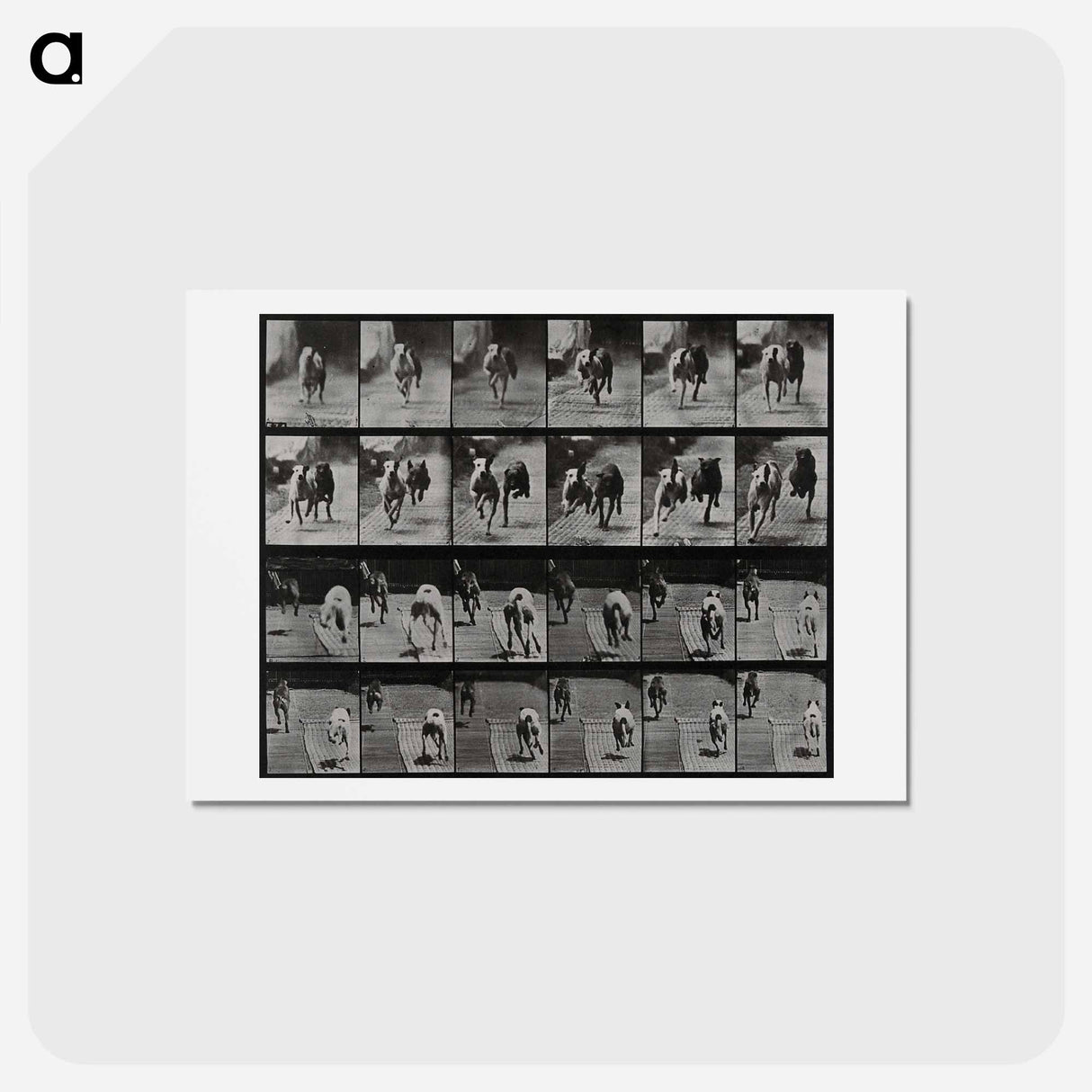 アートポストカード-Racing Dogs
- エドワード マイブリッジ Postcard.