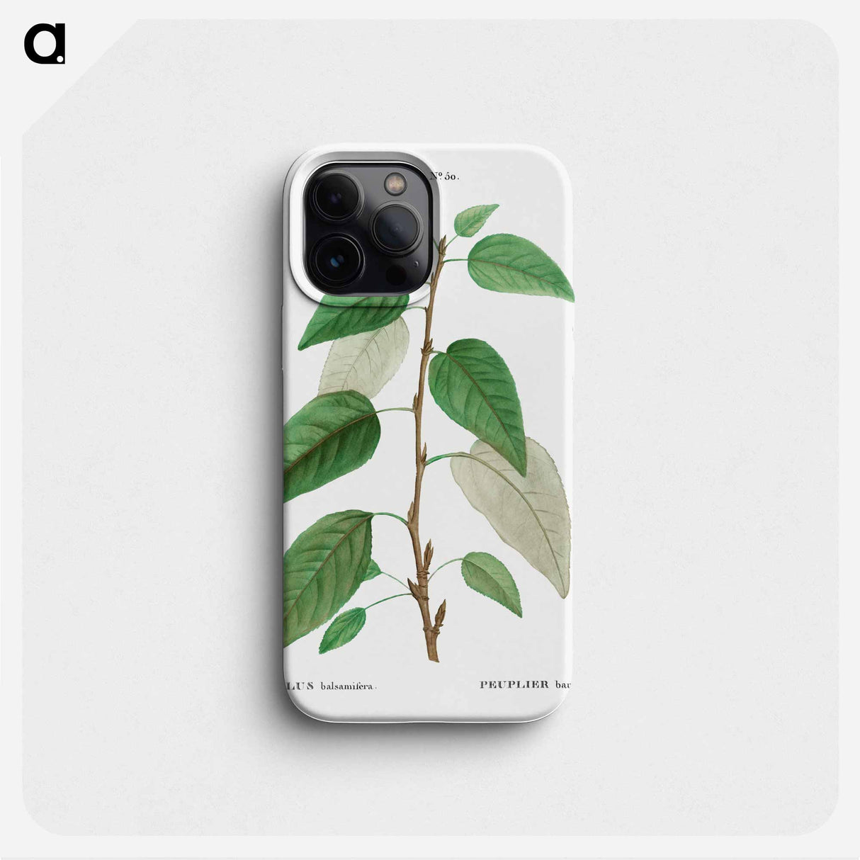 Balsam poplar - Pierre Joseph Redouté Phone Case.
