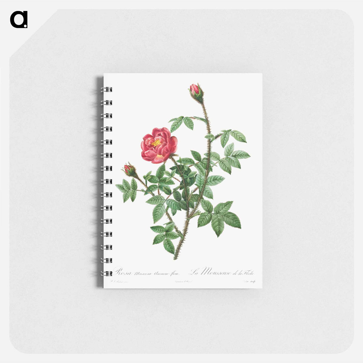 アートメモ帳-Moss Rose
- クリーブランド美術館 Memo.