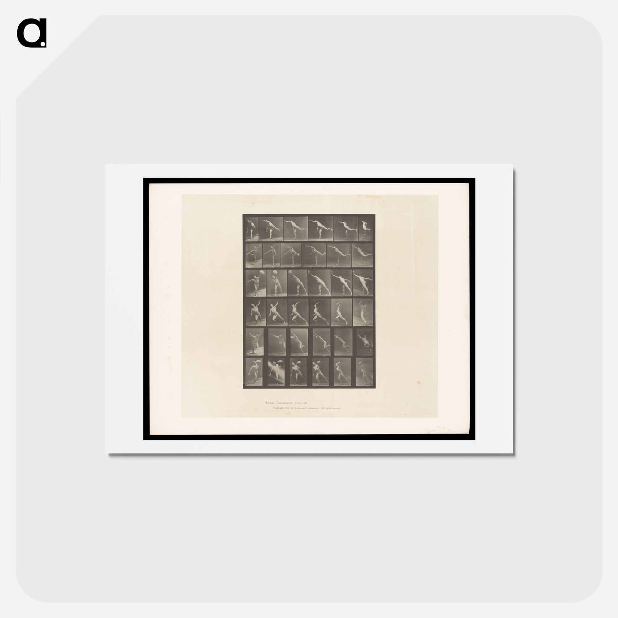 アートポストカード-Naked Man Throwing
- エドワード マイブリッジ Postcard.