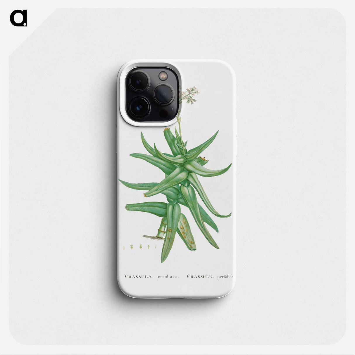 Crassula Perfoliata (Sickle–Leaf Red Crassula) - Pierre Joseph Redouté Phone Case.