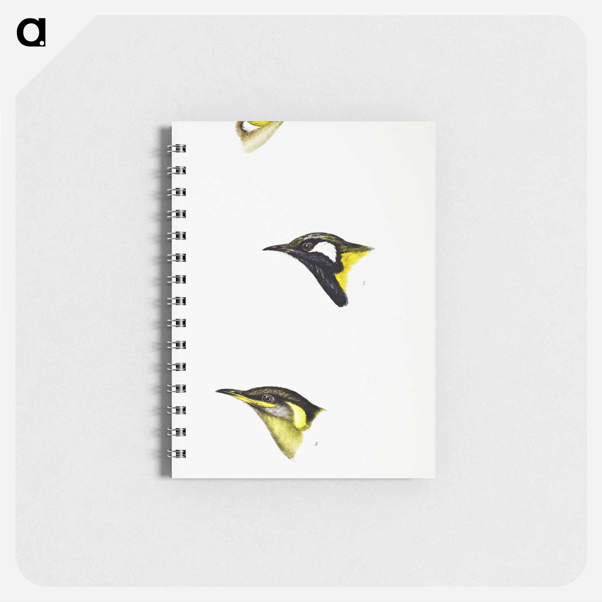 アートメモ帳-Australian Honeyeaters
- ジョン グールド Memo.