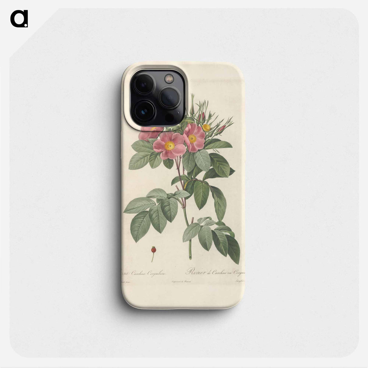 Rose illustration - Pierre Joseph Redouté Phone Case.