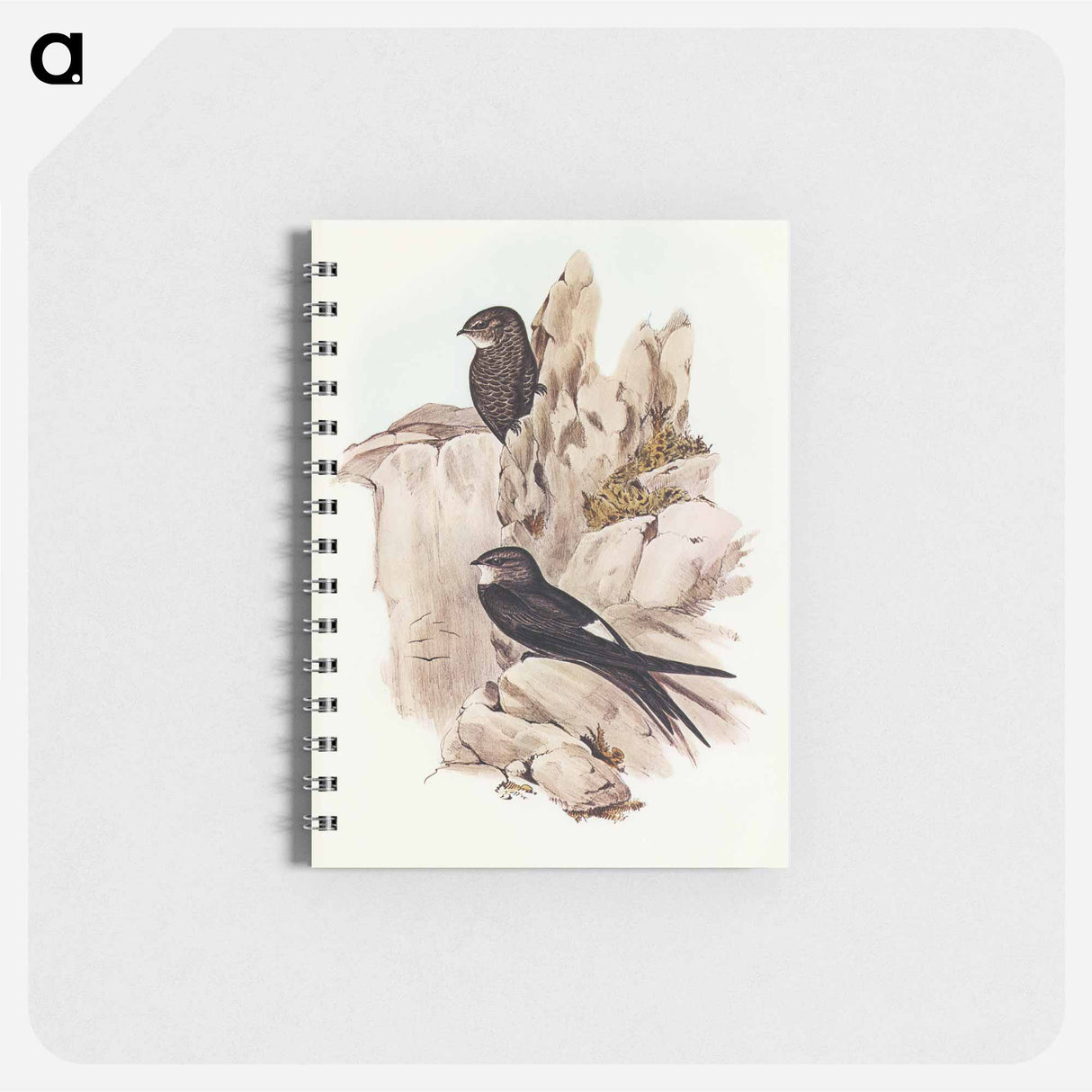 アートメモ帳-Australian Swift
- オーストラリアの鳥 Memo.