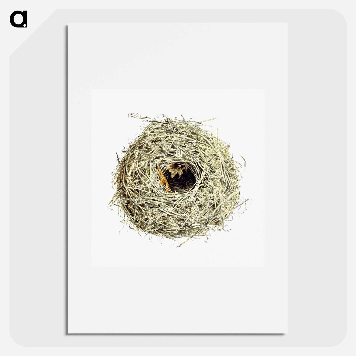 アートポスター-Nest and Eggs from Travel And Research In Algeria
- 大英図書館 Poster.