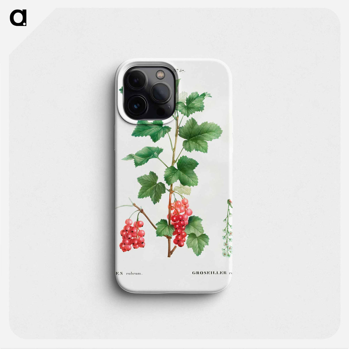 Redcurrant - Pierre Joseph Redouté Phone Case.