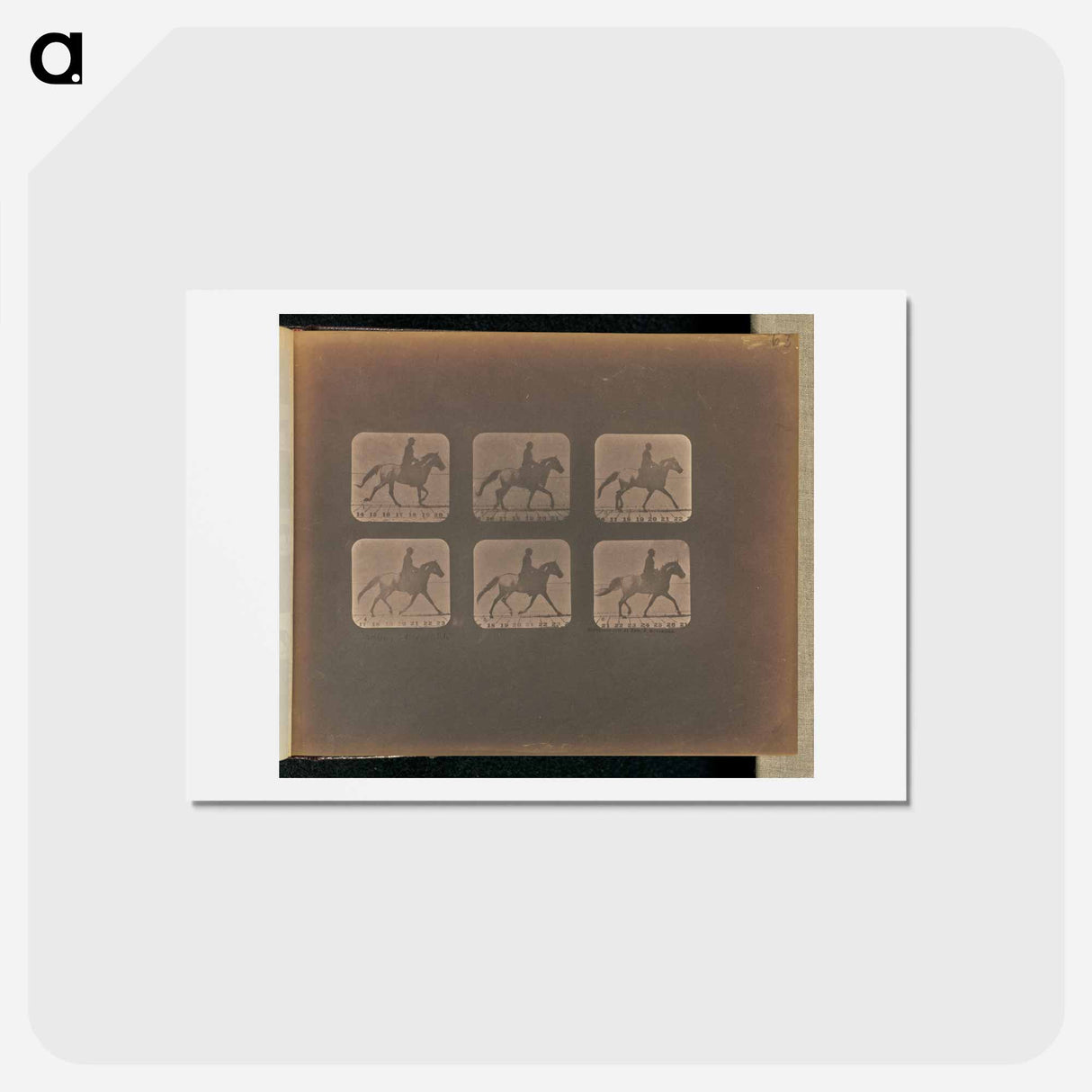 アートポストカード-Trotting - Incomplete
- エドワード マイブリッジ Postcard.