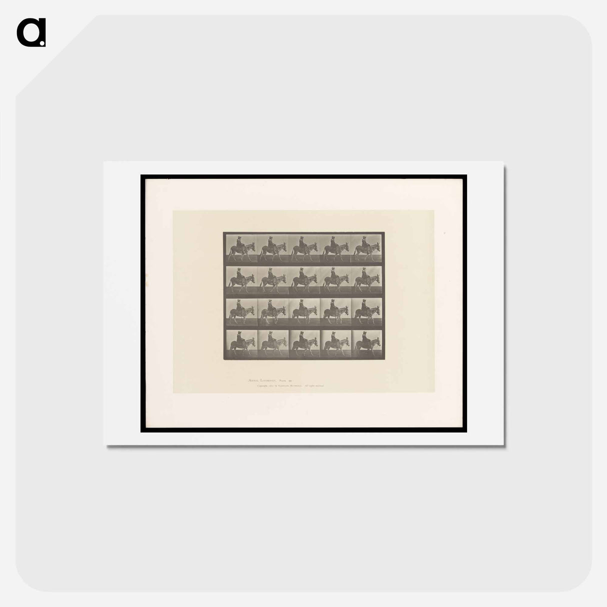 アートポストカード-Girl on Ass
- エドワード マイブリッジ Postcard.