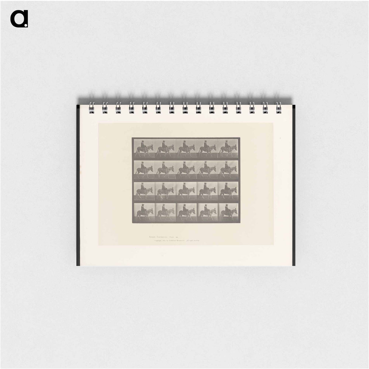 アートメモ帳-Girl on Ass
- エドワード マイブリッジ Memo.