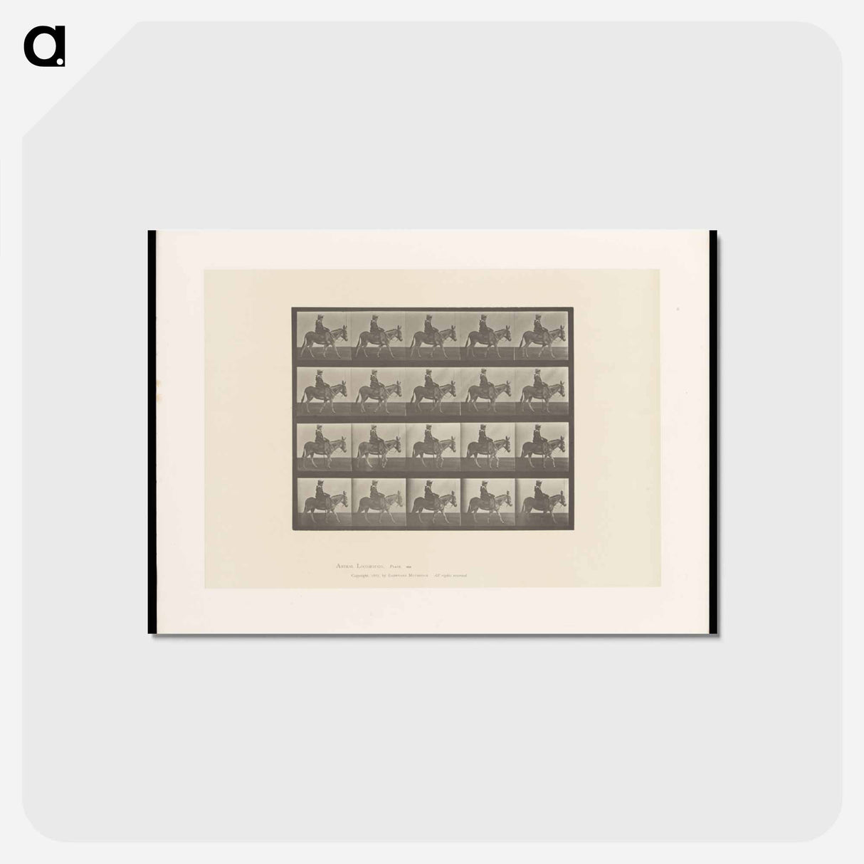 アートポストカード-Girl on Ass
- エドワード マイブリッジ Postcard.