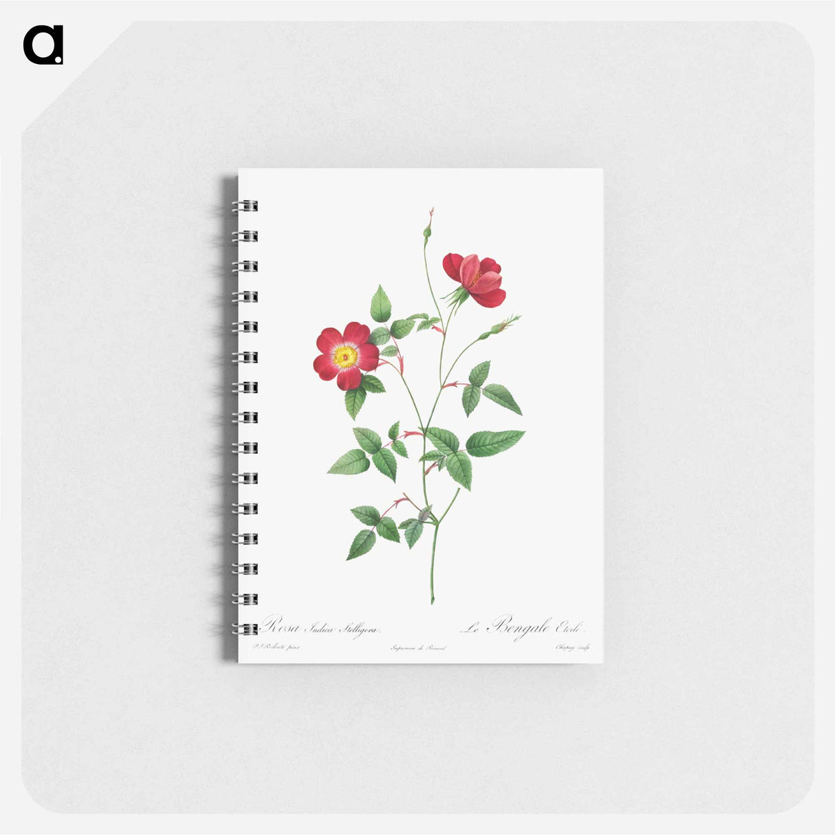 アートメモ帳-Rosa Indica Stelligera
- クリーブランド美術館 Memo.