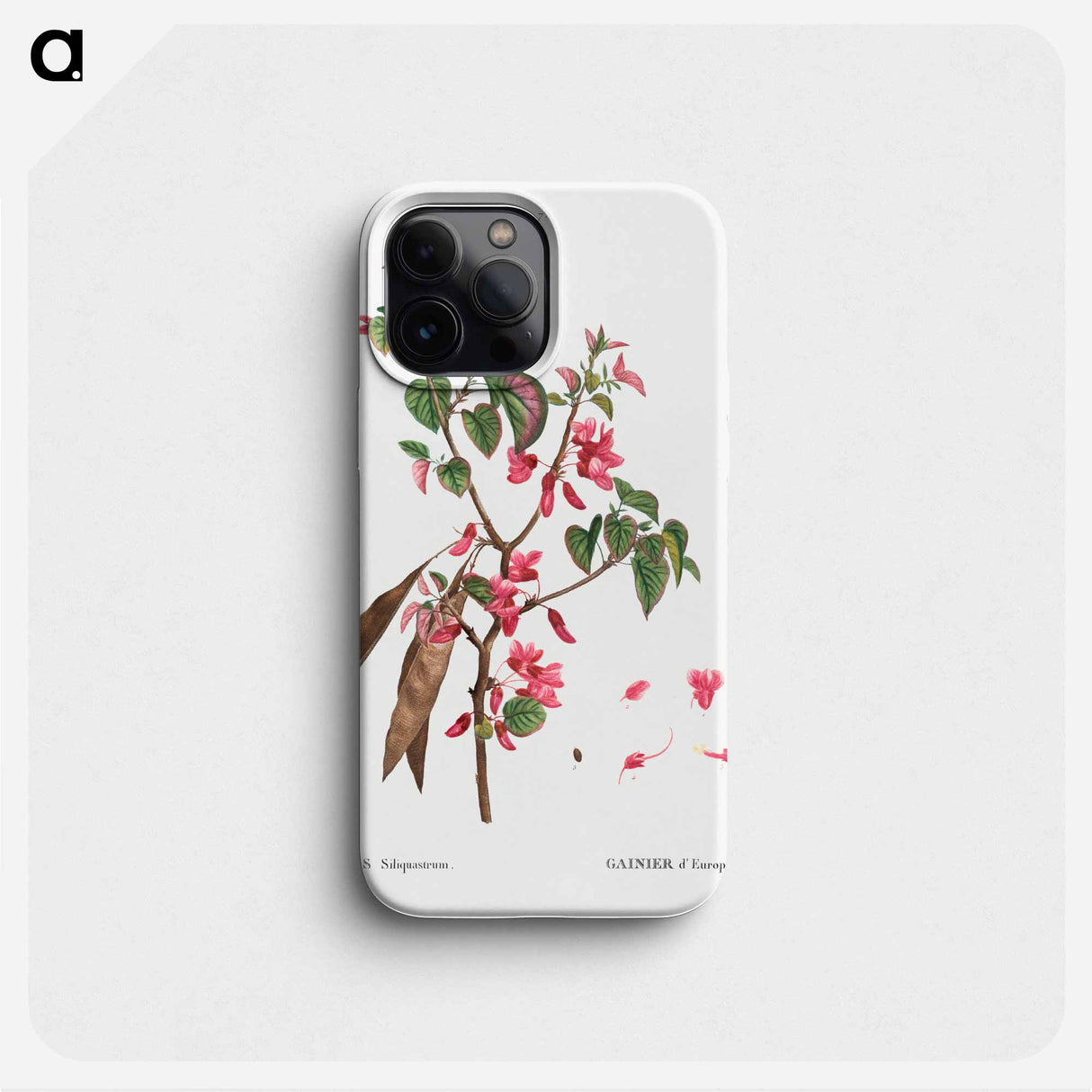 Judas tree (Cercis Siliquastrum) - Pierre Joseph Redouté Phone Case.