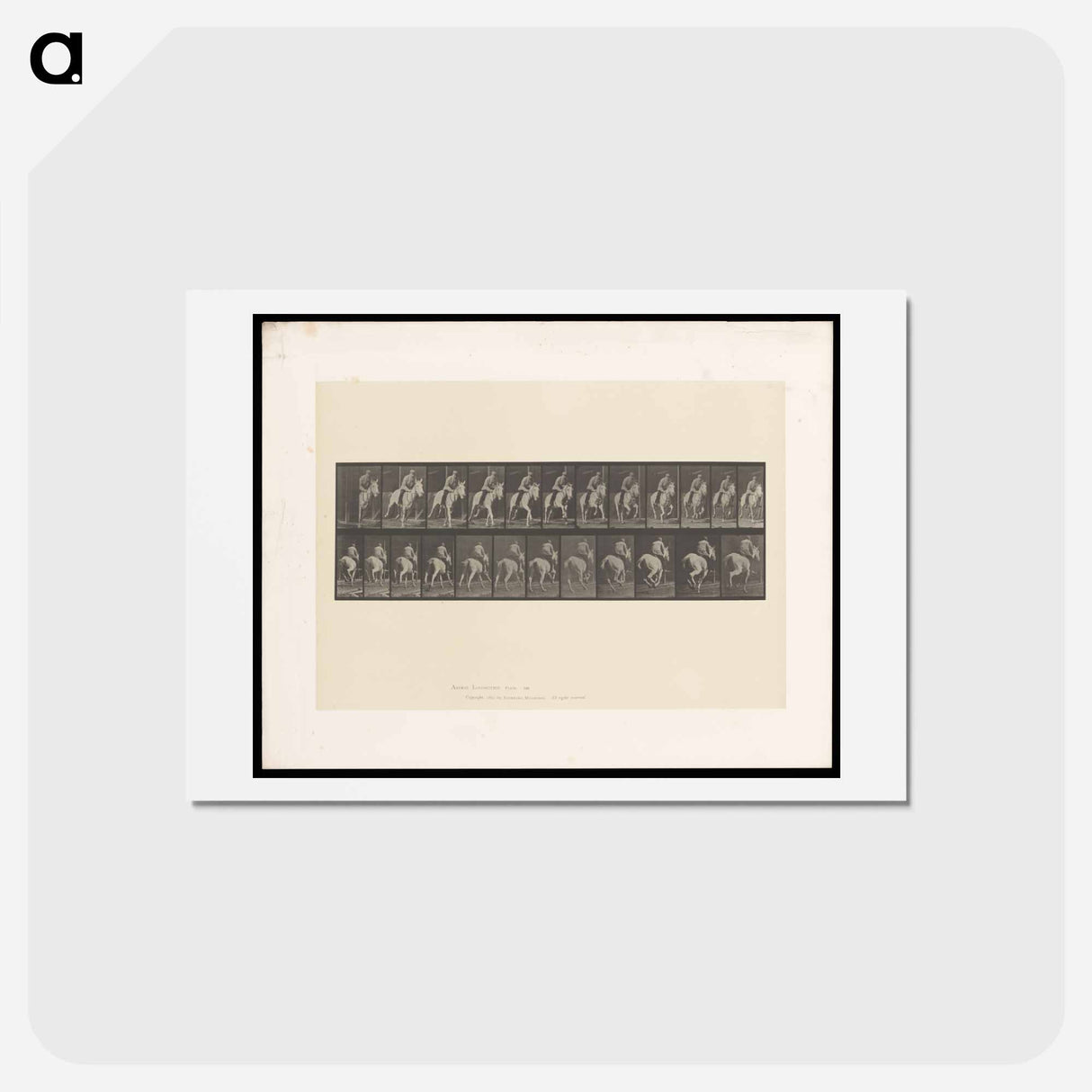 アートポストカード-Man on Horse
- エドワード マイブリッジ Postcard.
