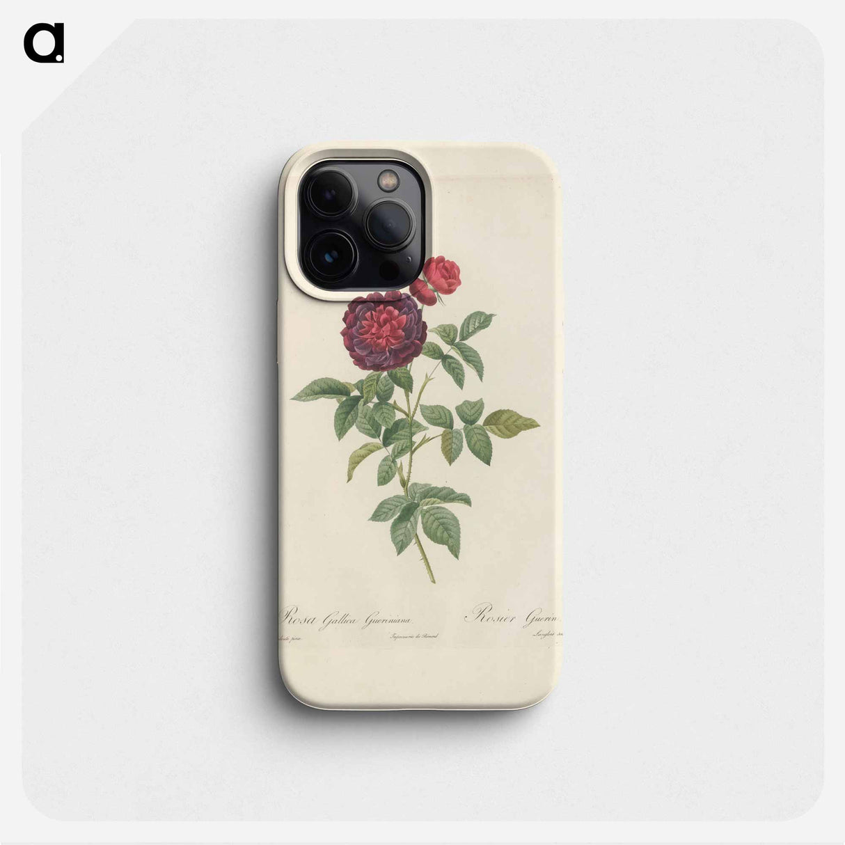 Rose illustration - Pierre Joseph Redouté Phone Case.