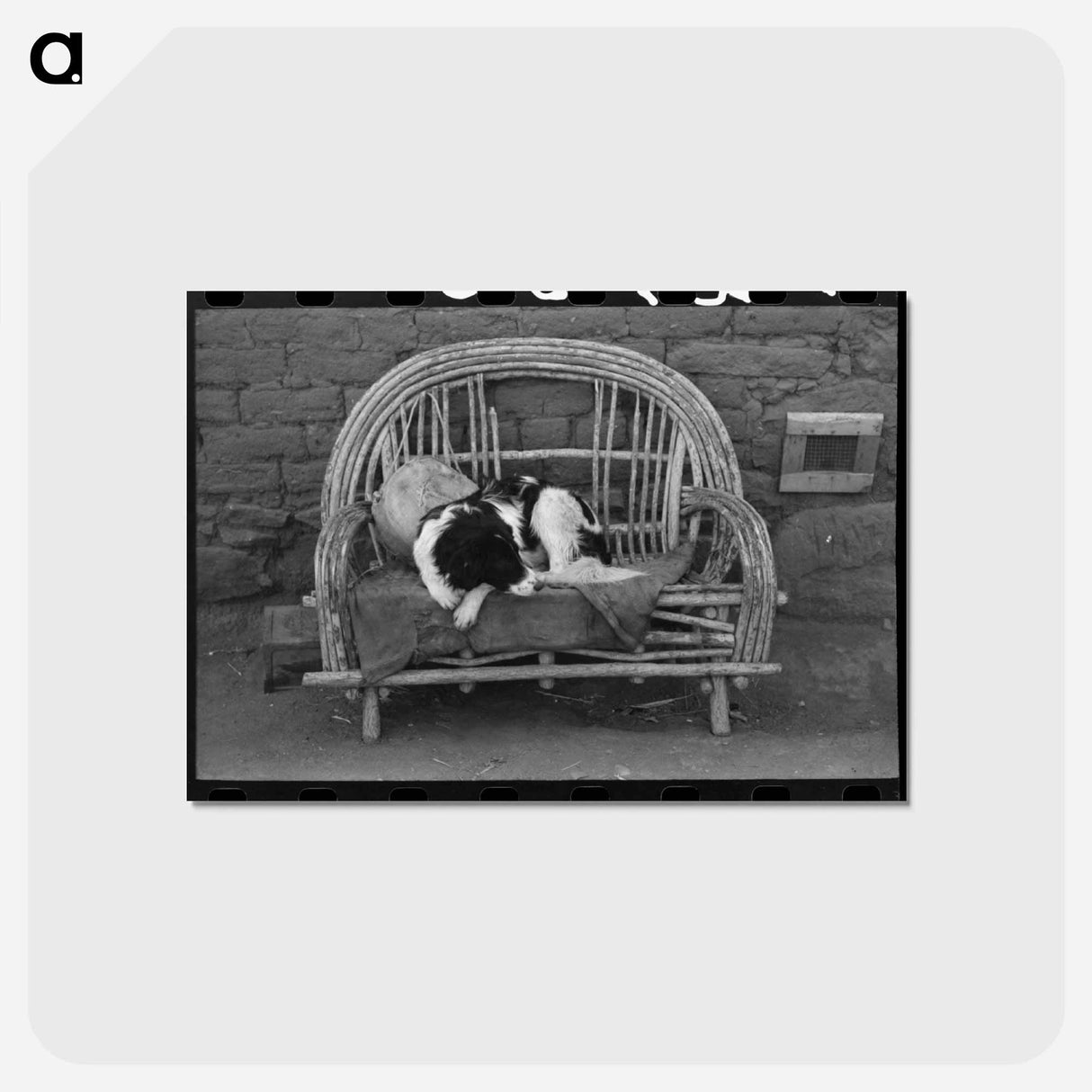 アートポストカード-Dog on Settee, Concho, Arizona
- ラッセル リー Postcard.